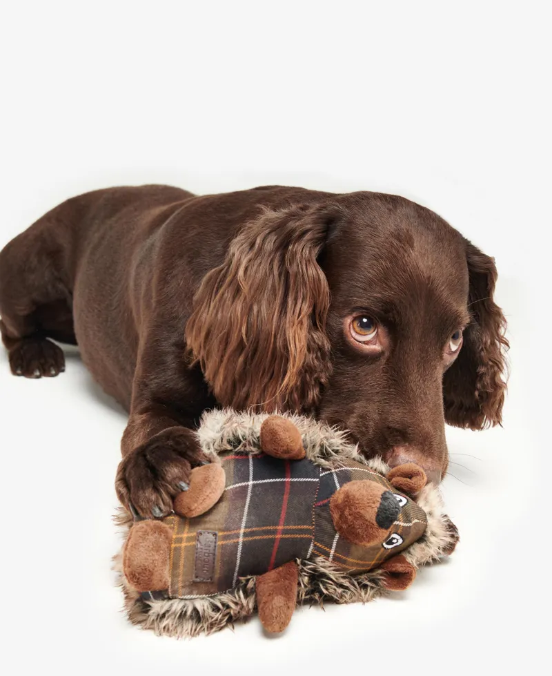 Barbour Hedgehog Dog Toy-3